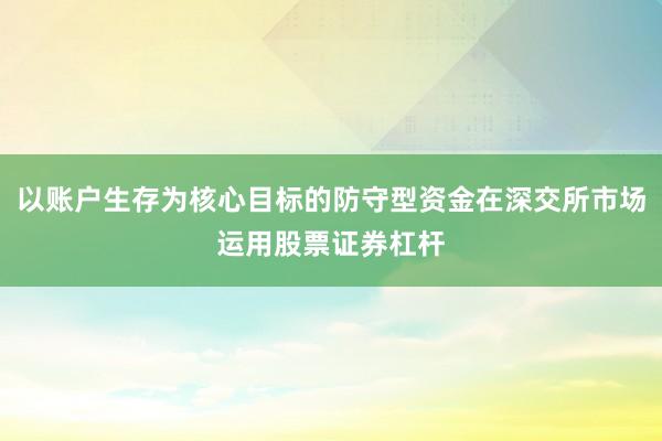 以账户生存为核心目标的防守型资金在深交所市场运用股票证券杠杆