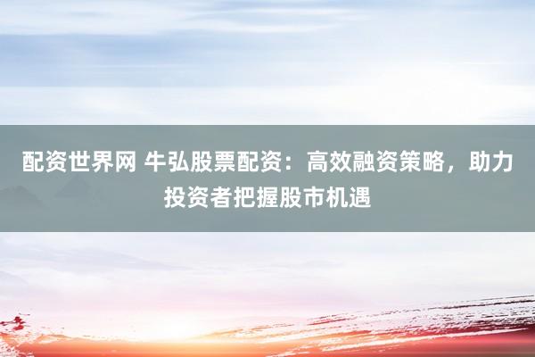 配资世界网 牛弘股票配资：高效融资策略，助力投资者把握股市机遇